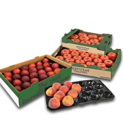 PET_rPET Fruit Tray Liner