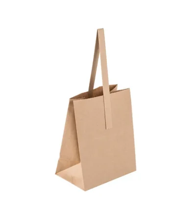 Paper Handle Bag