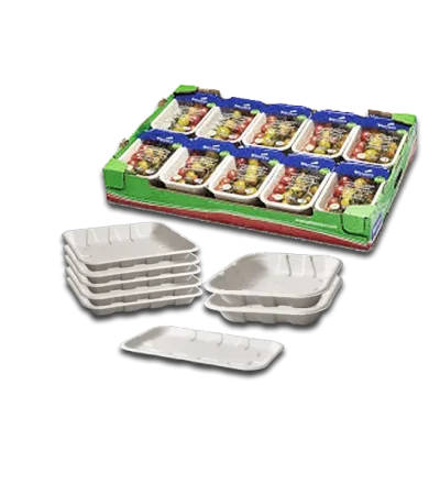 Pulp_Fiber Produce Tray